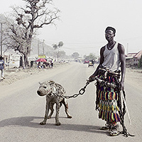 Pieter Hugo